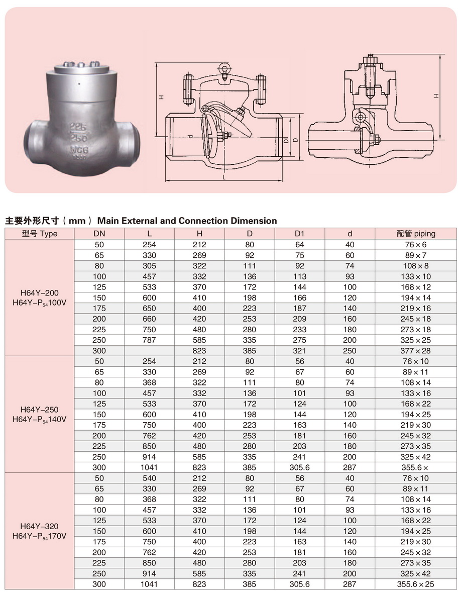 12电站旋启式止回阀-2.JPG