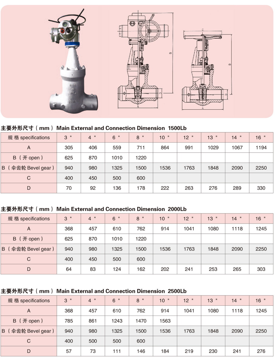 2电站高温高压美标闸阀-3.JPG